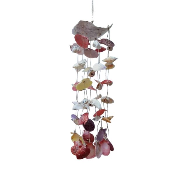 Colorful Mixed Shells Chandelier